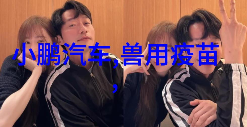 imtp填料高效的数据管理和处理技术