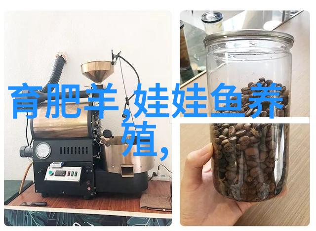 小米商城亲自体验的便捷购物之旅