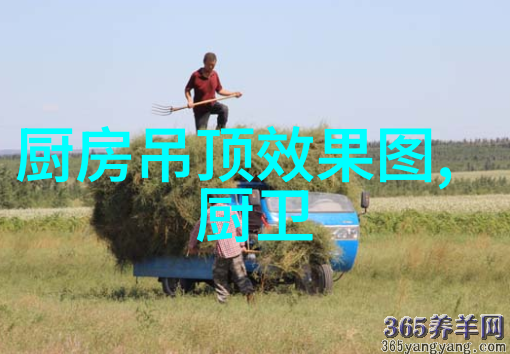 灭菌的双面刃连续设备背后的卫生与效率之争