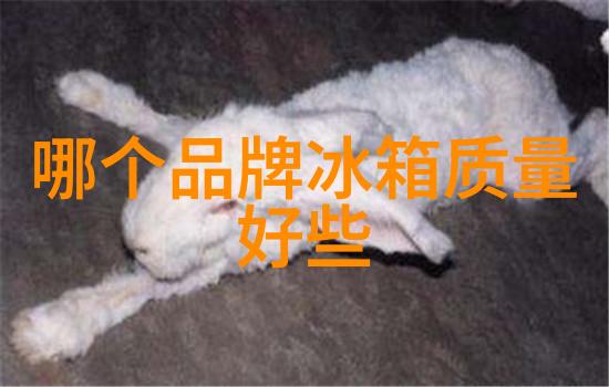 逆袭的温暖年轻母亲3线看完整版2019