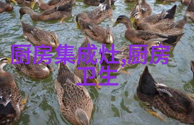 化工设备布置图设计与应用概述合理布局安全生产