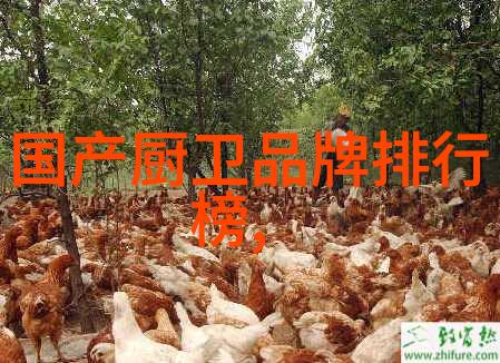 金厨卫电器有限公司打造高品质生活