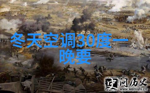 如何看待中南财经政法大学在两大项目中的发展历程和成就