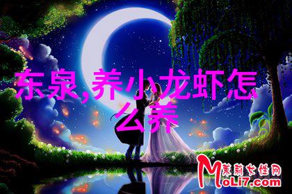 智能家居革命技术如何让我们的家变得更智能
