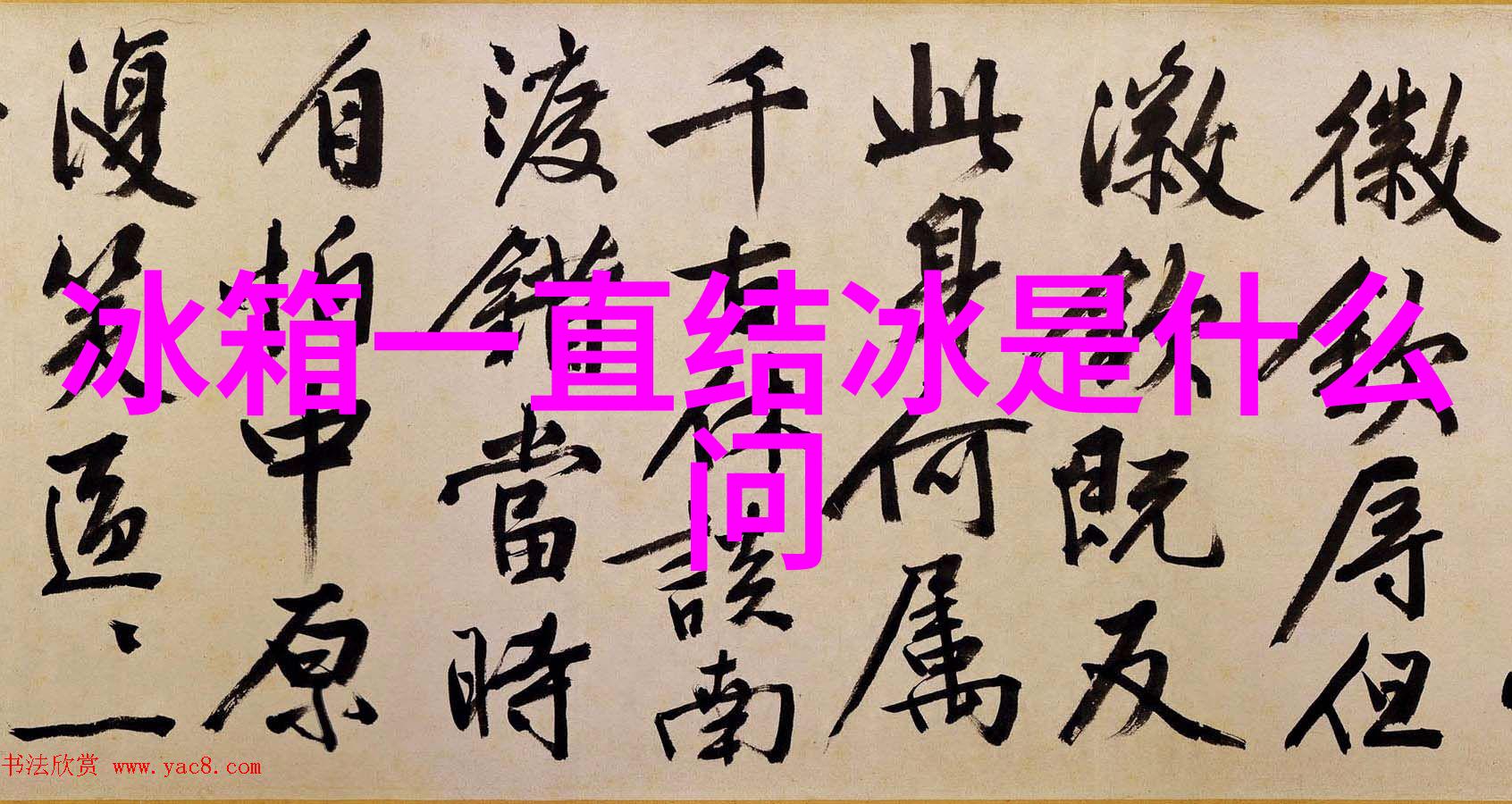 新年旗舰单反促销NikonD810单机售16900
