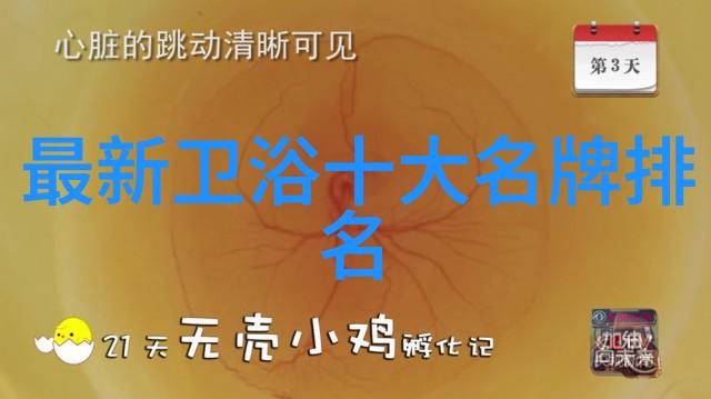 畅游天下同行网 - 云端漫步畅游天下同行网的无限可能