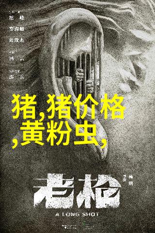 简历-恳请审阅我的简单申请书