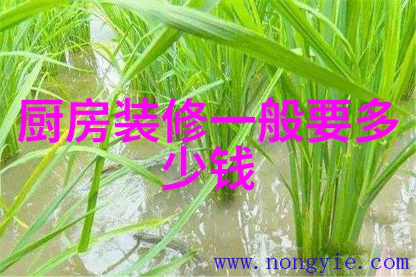 高效能加热炉设备的创新应用与未来发展方向