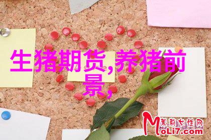 工作报告结尾金句的精髓