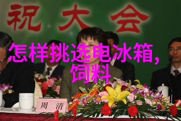 博世幻彩冰箱 换门设计仅售6000元