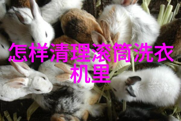 冰箱的沉默是否值得重温过去的记忆
