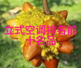 文明的衰败探索斯文败类的心理与社会根源