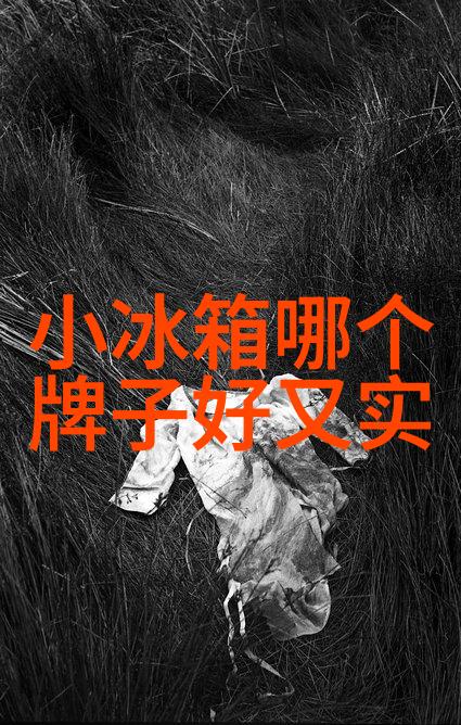 尘中仙遗忘之城的秘密歌手