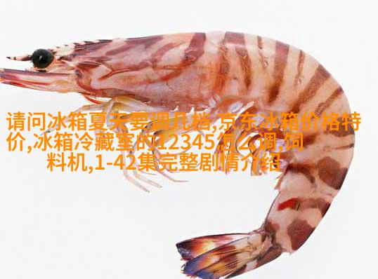生态自然客厅