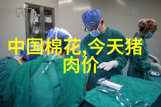 药品信息查询系统的发展与挑战