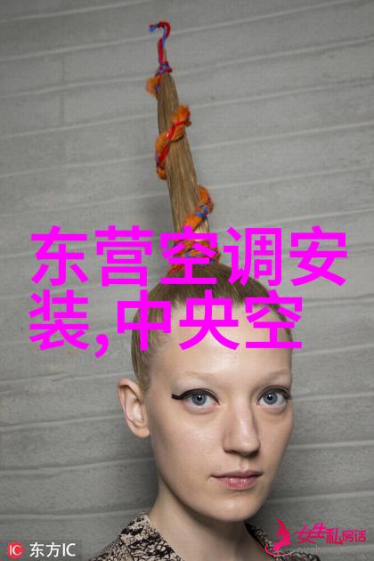 发型师的必备揭秘美发工具的选择与使用