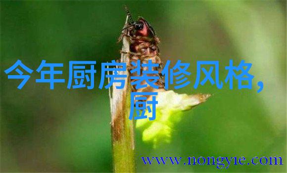 爱你是最好的时光2 - 守护相思重温那份深情的回忆