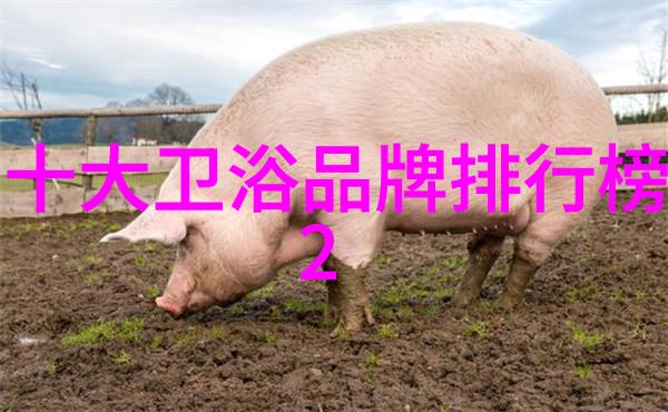 冷静选择夏日冰箱设置最优档位的窍门