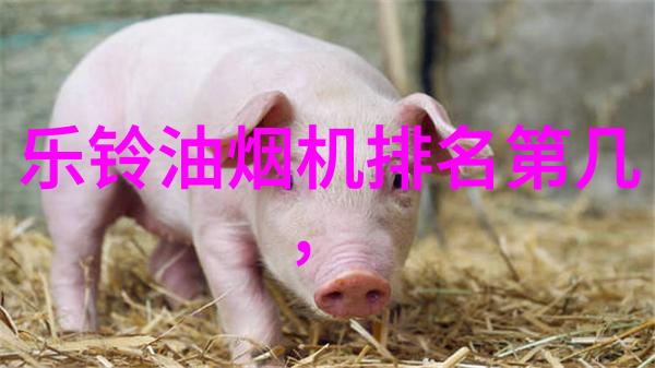掌心龙我手中的小火焰掌心龙的奇幻故事