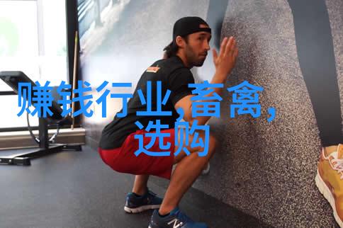 如何选择合适的冲击式制砂机型号用于不同规模的工程项目