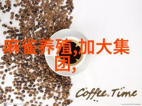 房屋客厅装修效果图-温馨舒适的家居空间创意设计与实用功能并重