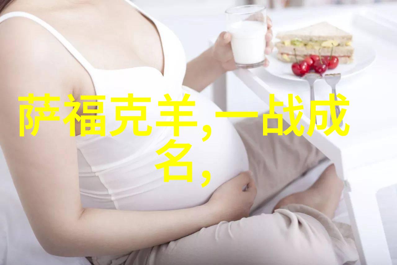 家用软水器清洁生活的便捷伙伴