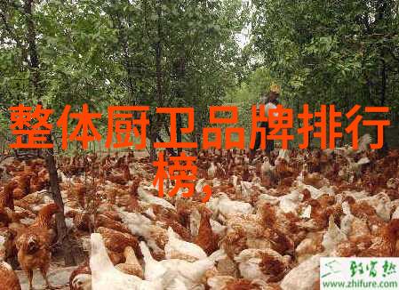 绿色环保材料让你的厨卫更健康更有活力