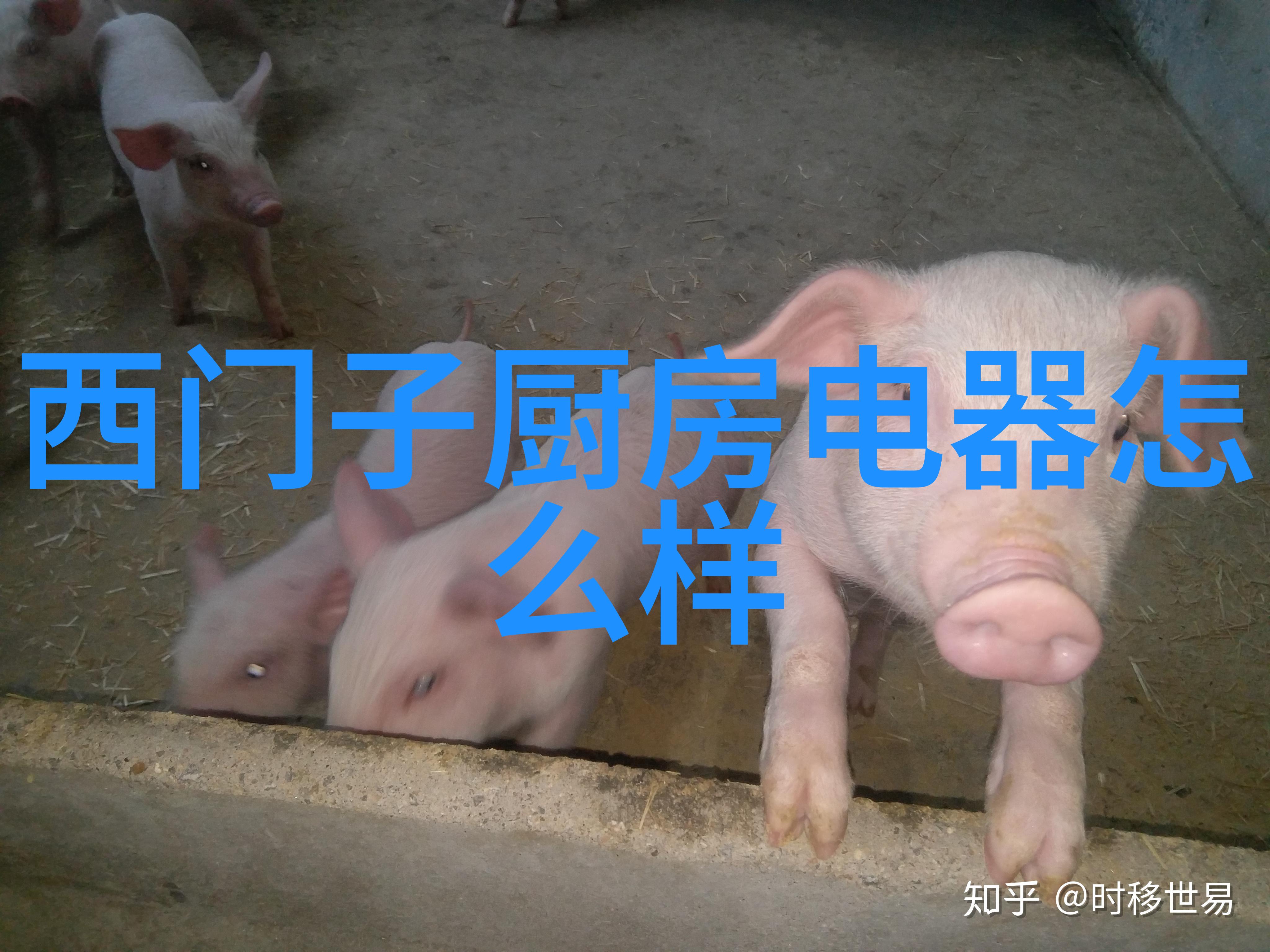 机械之魂雷蒙机的技术奇迹与未来展望