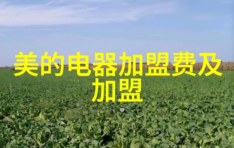 宁德时代锂离子电池创新推动空调能源效率的新纪元