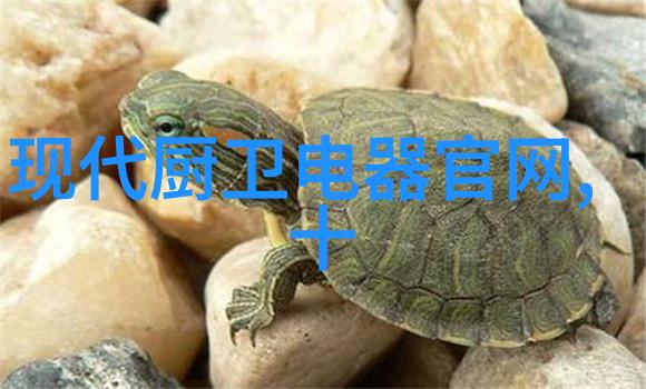 宁德时代电动汽车新能源车辆的未来发展