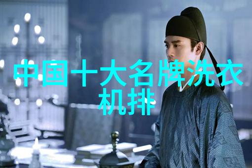 天鹅洗衣机故障排除与维修技巧总结