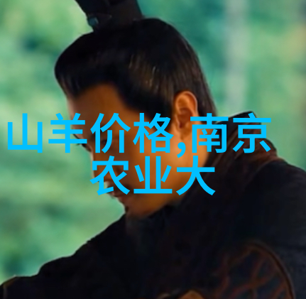 云端织梦小天鹅滚筒洗衣机的诗意旋律