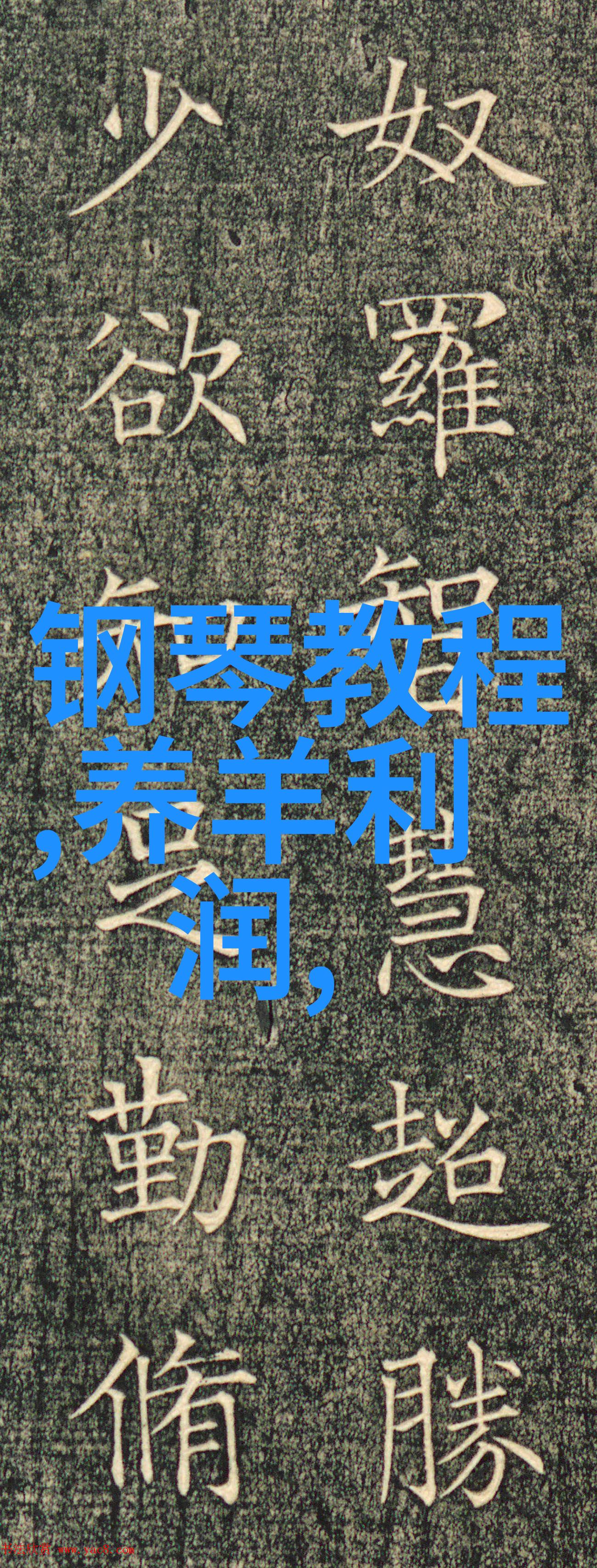 包装设备采购指南选择合适的设备提升运营效率