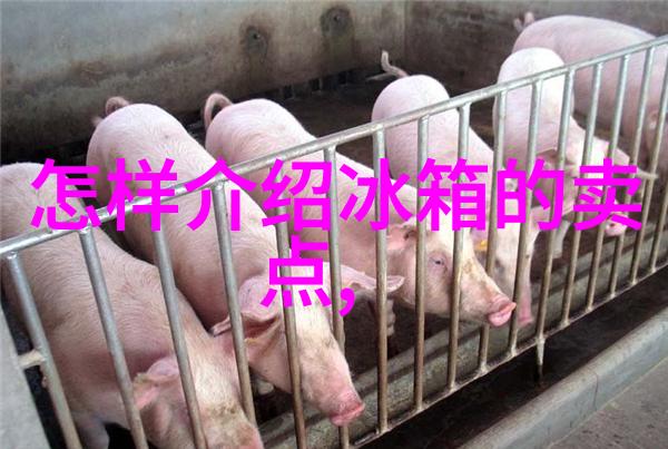 将厨房与卫生间分开设计可以增强家庭成员的隐私吗