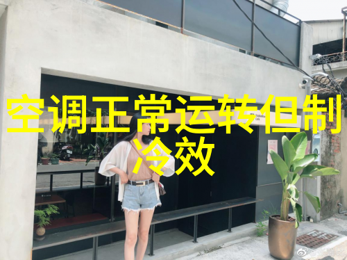 在梦境与现实交织的边缘探索忘忧草中的文字幕之美