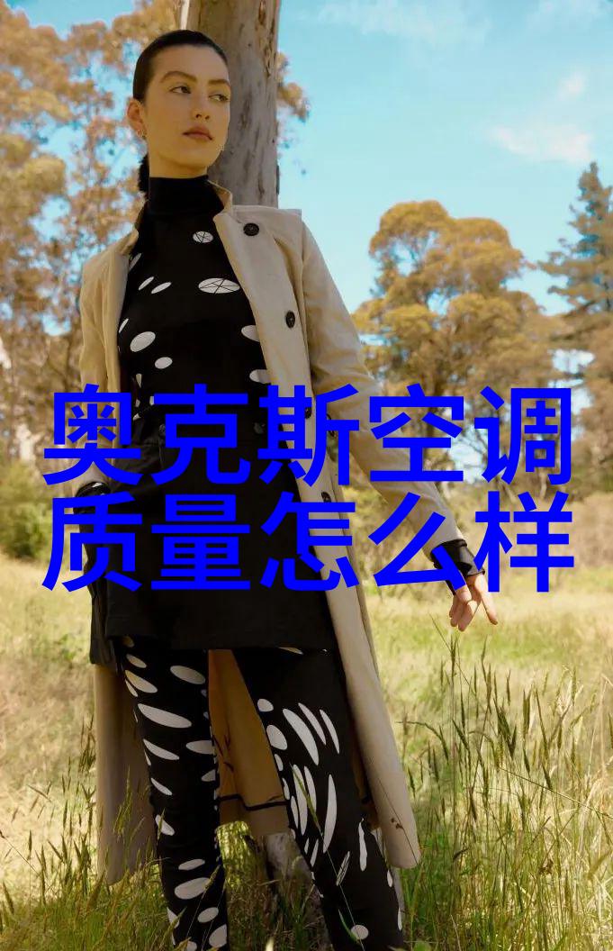 电力巨龙的觉醒新能源时代下的威力展现