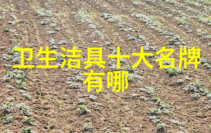 小天鹅洗衣机的维护和清洁工作有哪些注意事项