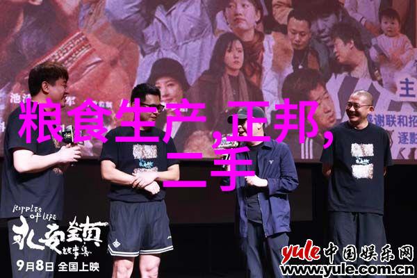 聚焦材料科技 - PVDF规整填料高性能塑料在新能源领域的关键角色