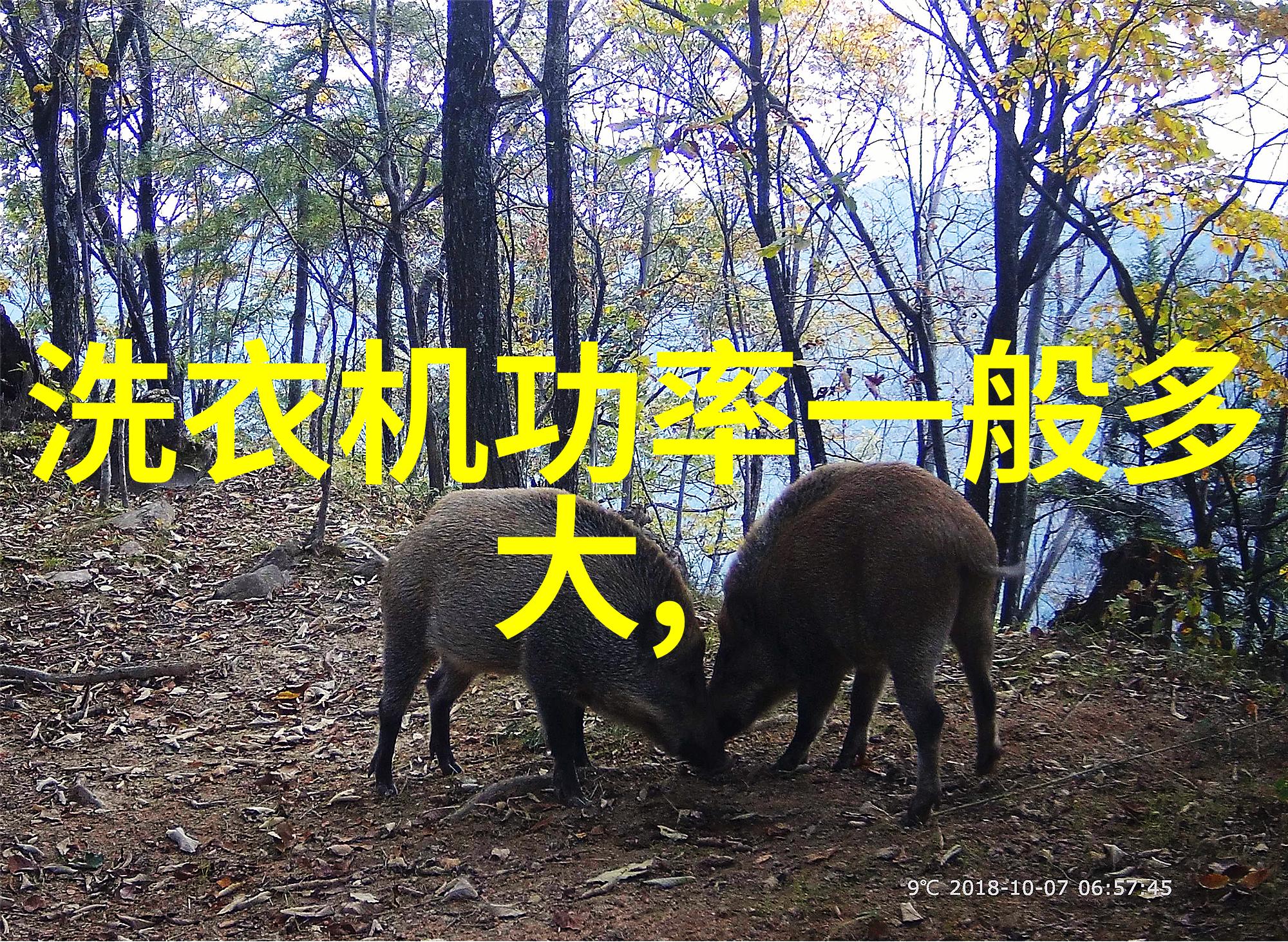 厨房水槽我的每日英雄