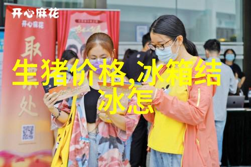 水位显示仪守护水域安全的智能监测者