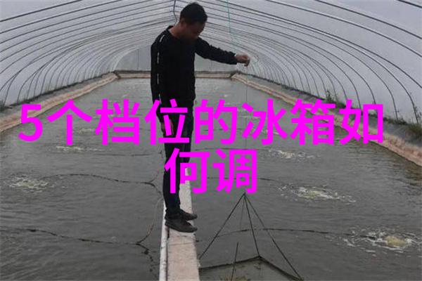 一只小白天鹅一个不一样的小花园