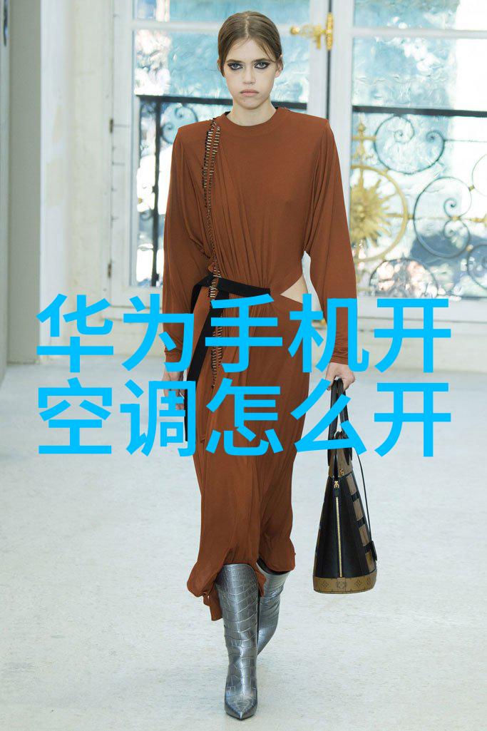 白天鹅轻舞洗衣机的诗意旋律