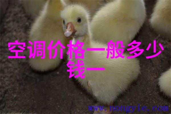 江苏海事职业技术学院培育海上智慧的港湾