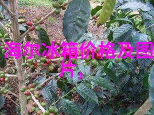地漏沉默的城市脉搏与哗然的地下世界