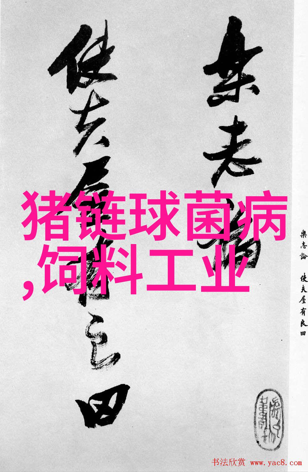 不锈钢创意手工-缔造时尚与实用之美的艺术世界