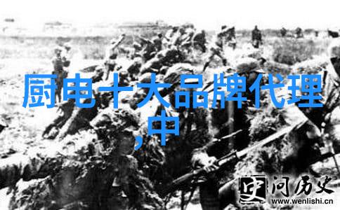 厨房与卫生间融合的未来之谜一体设计背后的智慧与挑战