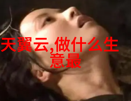 精准定位行业需求如何看待世界上最成功的系统级设计供应商