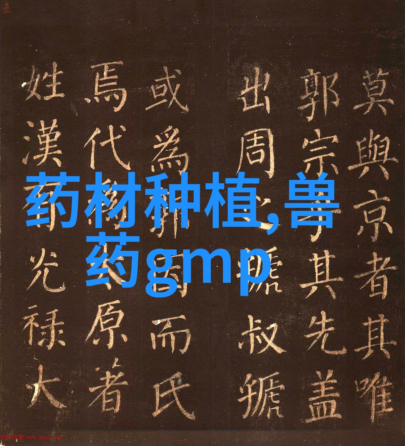 网络中的无形结构探索填料网的奥秘