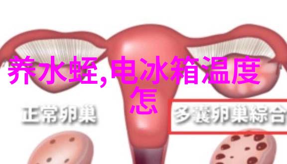 无良王妃我如何被这位贪心的王妃坑了