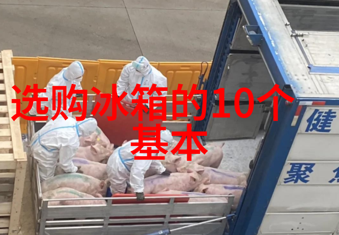 环保材料选用指南让你的厨房更绿色更健康